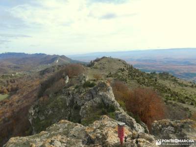 Hayedos Rioja Alavesa-Sierra de Toloño;camino santiago desde madrid viaje la palma grupo senderismo 